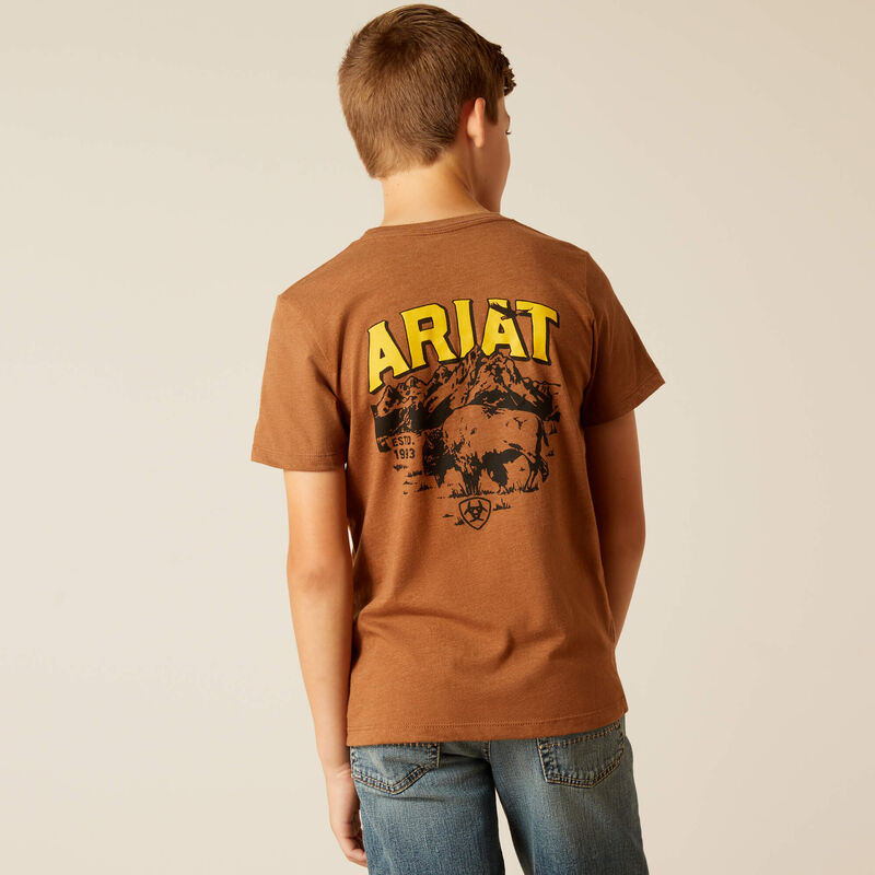 Boy's Ariat Bison Sketch Shield T-Shirt