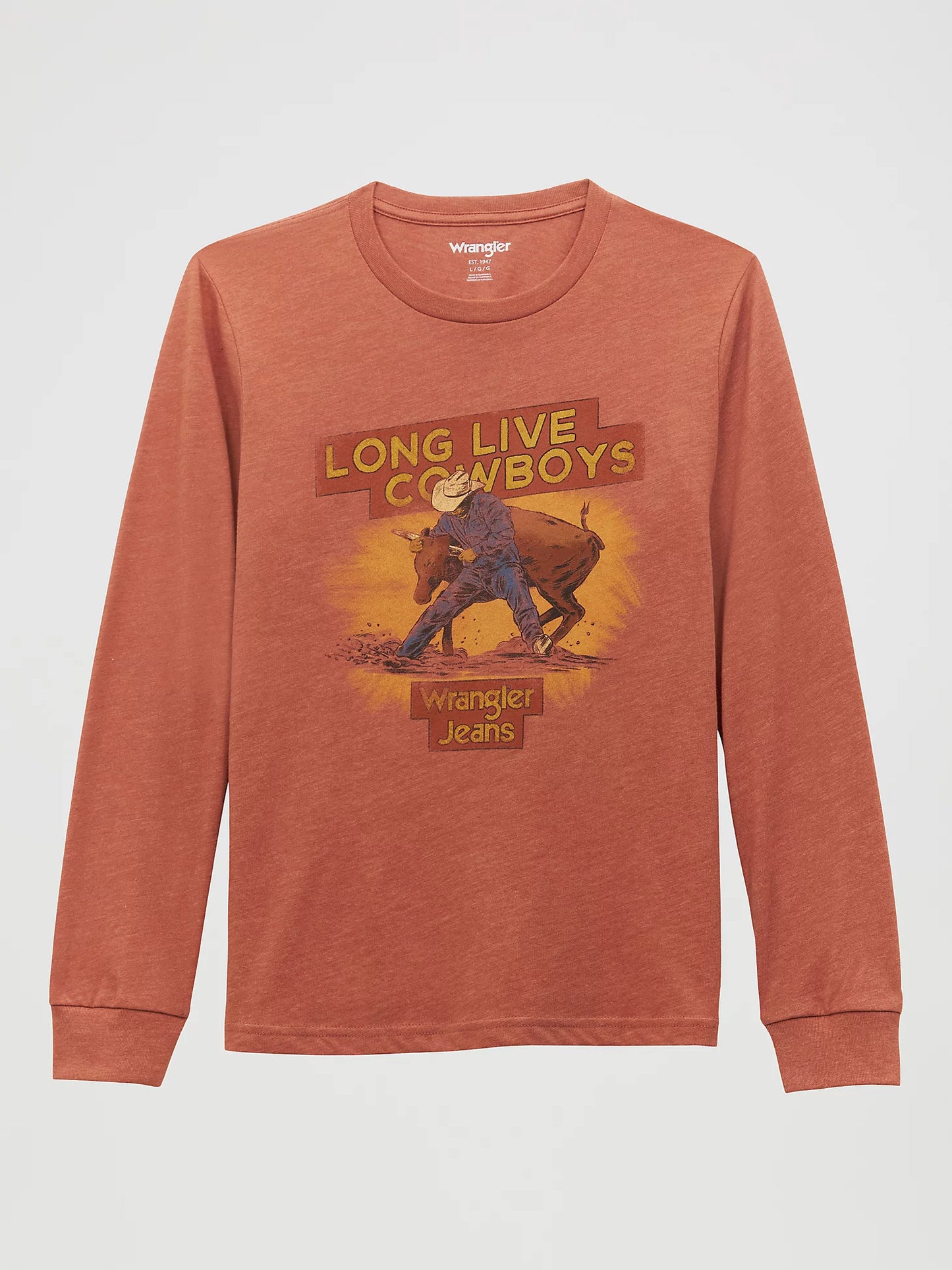 Boy's Wrangler Long Sleeve Cowboys Graphic T-shirt - Redwood Heather